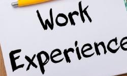 Featured image of post 工作心得